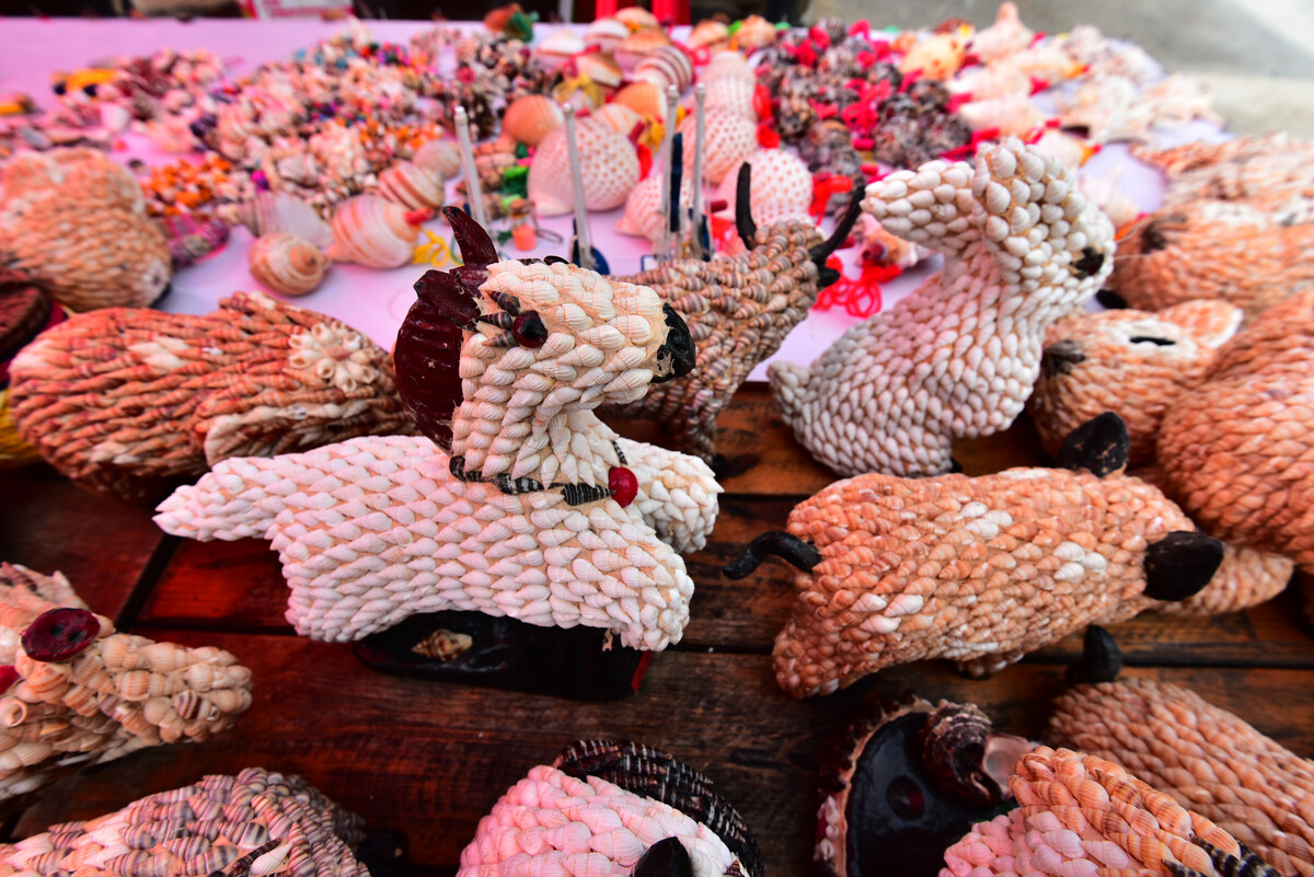 海島村貝殼工藝品的設計與創(chuàng)作之道